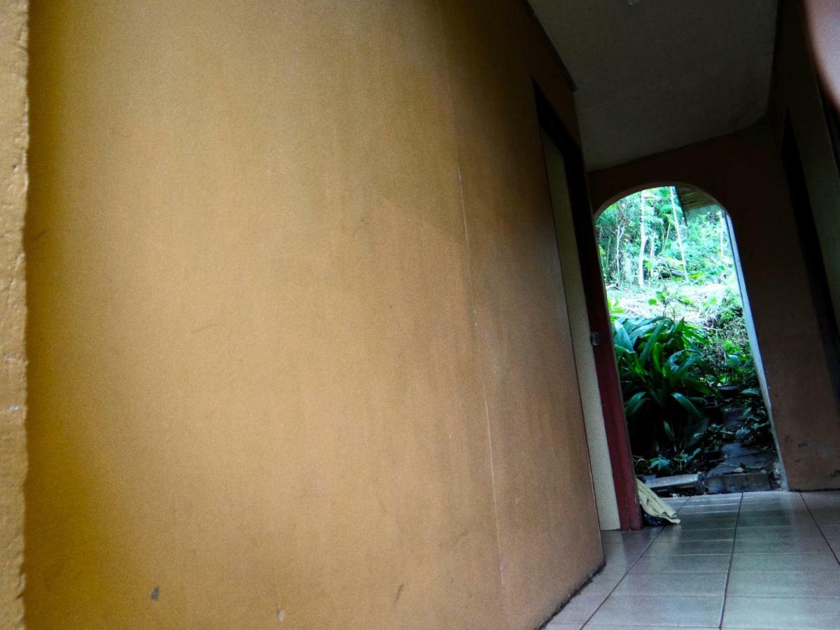 Hummingbird House B&B Monteverde Extérieur photo